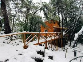 Cabañita Del Árbol Concón