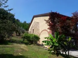 Istanti - Bambù