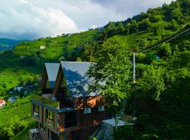 Valent Suit Bungalov, hotel a Ardeşen