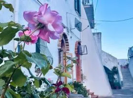 Il cortile fiorito
