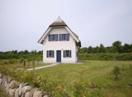 Reetland am Meer - Premium Reetdachvilla mit 3 Schlafzimmern, Sauna und Kamin F04