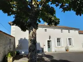 Vacation Rental