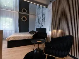 Apartament Premium przy Zamku