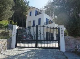 Villa Luna Home