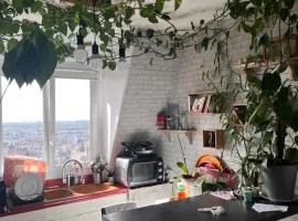 Beau studio à Fontenay sous bois