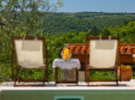 Beautiful Villa Cartolina with pool in Buje