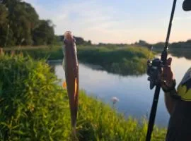 Dom z linią brzegową Narwi 3
