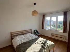 Amber Seeker's Retreat