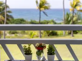 Le PARADIS BLEU VUE MER