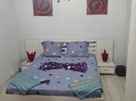 Garsoniera DNI