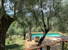 Podere Il Piantoneto