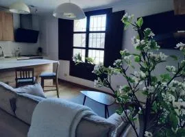Apartamento Palacio de los Burgo