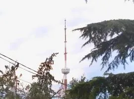 Sweet Home Near Mtatsminda Park
