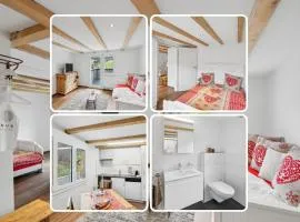 Kuschelige Ferienwohnung direkt an der Skipiste SGT08