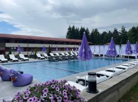 Paradise SPA Hotel, beach hotel in Tsigov Chark
