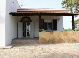 Casa Bouganville villetta tra le vigne e il mare