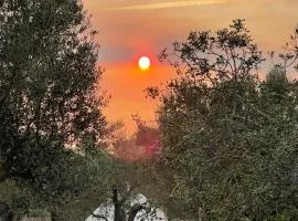 Bellissima Bell Tent - Romantic Glamping Retreat in Nature