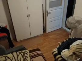 House for renting during Exit festival