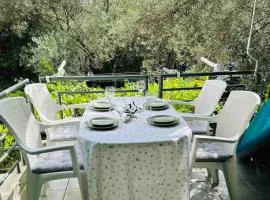 Apartment Oliva, Rafailovici