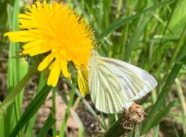 PilgerRosenhof, golf hotel in Maria Taferl