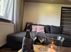 Apartament nad Bukówką