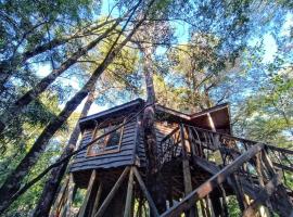 Cabañita del Árbol Cóndor, ξενοδοχείο σε Las Trancas