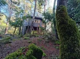 Cabañita del Árbol Cóndor