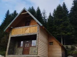 Cottage with mountain view Kom