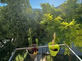 Golija holiday Home