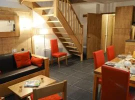 Apartment in French Alps near Ski Slopes