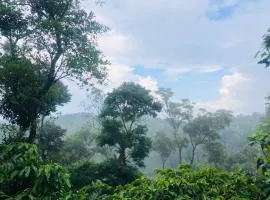 Swapna Estate Stay Coorg