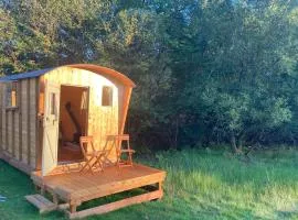 Shepherds Hut on Alpaca and working farm