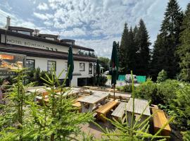 Hotel Bohemia, hotel v destinaci Železná Ruda