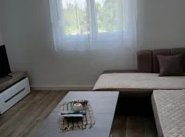 Apartman Djukic