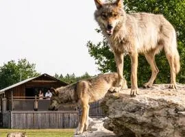 Lodges insolites chez RDV en Terre Animale