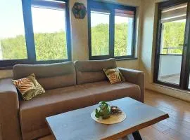 Forest View Apartment