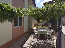 Studia Daniel Pestani