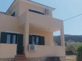 The Twin Houses