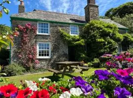 Shute Farm