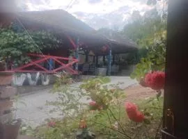 Gvozdena Voda-Viline Vode