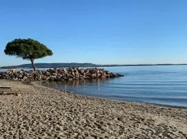 Appartement Duplex à Mèze avec Terrasse et Garage Proche Port et Plage - 2 Clés - FR-1-604-30