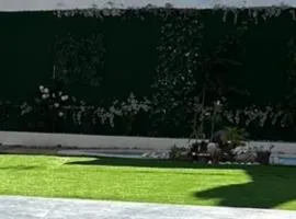 O Cantinho da Cotovia