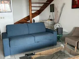 Duplex vue panoramique