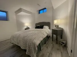 Private modern basement