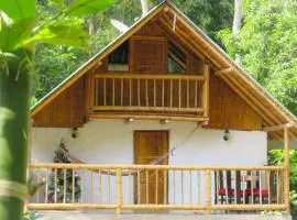 Alojamiento rural Ecoparque La Motilona Paicol, Huila - Cabaña Colibrí