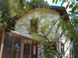 Casa Blanca