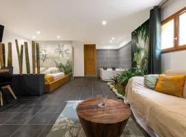 Studio romantique à Baixas avec Jacuzzi - 35m²