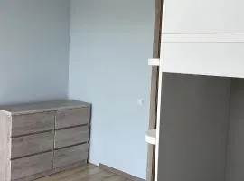 Magnetiti