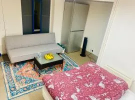 Cozy studio opposite Chelsea stadium