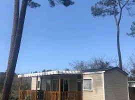 Les dunes de Contis Chez Edith océan pins et détente assurée dans camping 4 étoiles